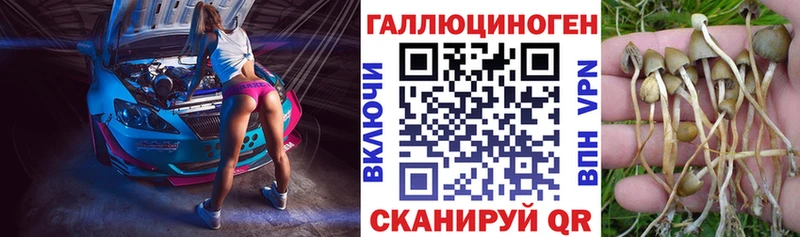 Псилоцибиновые грибы Psilocybine cubensis  Тейково 