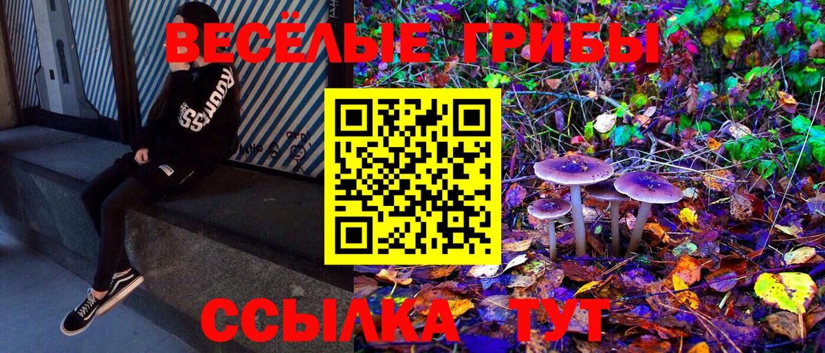 Псилоцибиновые грибы Magic Shrooms Тейково