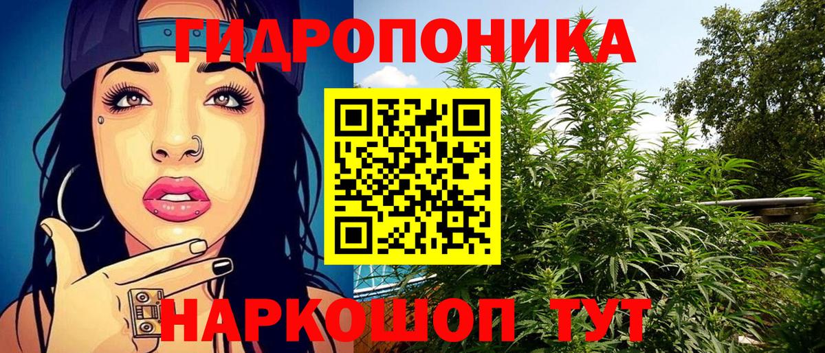 Шишки марихуана семена  Марихуана Amnesia  Шишки марихуана тримм  Вход с VPN  Тейково 